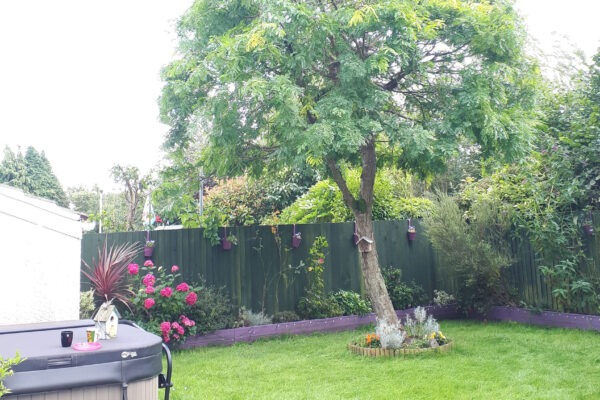 Garden Clearance & Maintenance