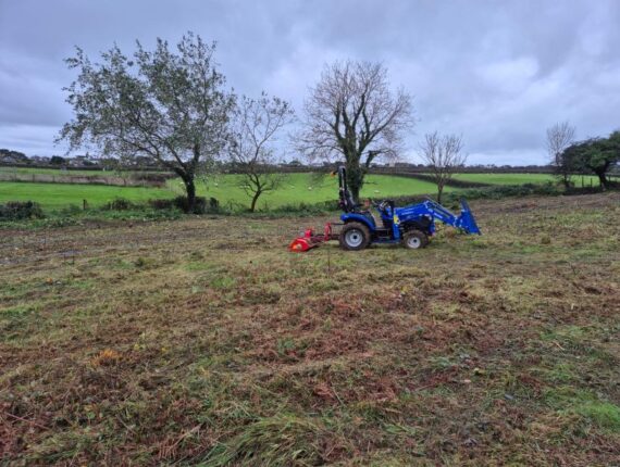 Site Clearance for New Driveway in Southgate, Gower