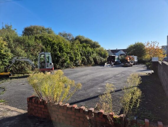 Car Park Tree Maintenance
