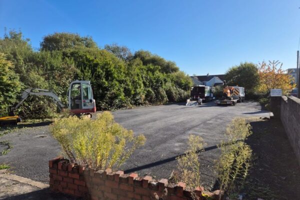 Car Park Tree Maintenance